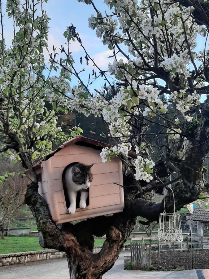 B&B La Casa Dei Nonni Assergi Bagian luar foto